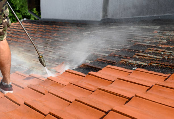 Best Exterior Home Cleaning  in Lincoln Park, NY