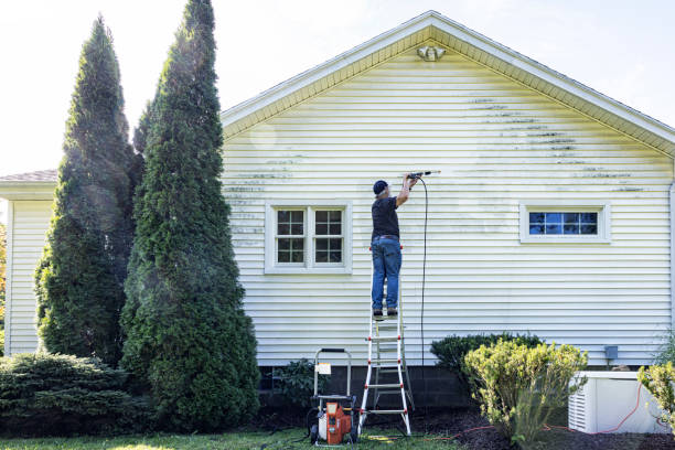 Best Affordable Pressure Washing  in Lincoln Park, NY