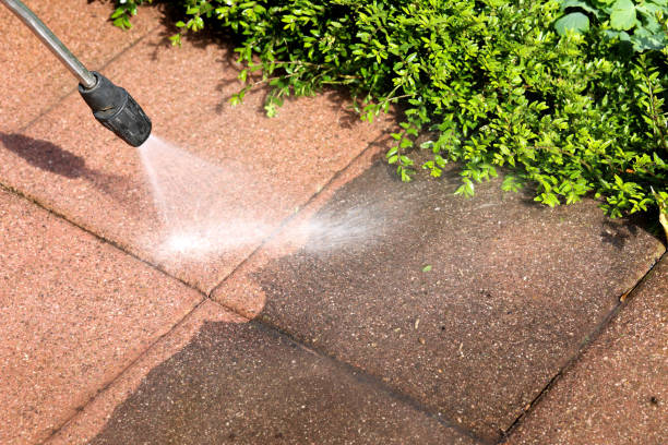 Best Pressure Washing Near Me  in Lincoln Park, NY